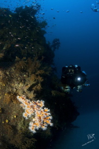 This was a dive to 70 mts, in a technical dive with rebre... by Natasha Maksymenko 